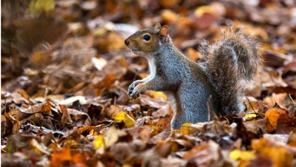 Завтра вдень на Прикарпатті очікують 11-16&deg; тепла. | Фото:  gettyimages.com 