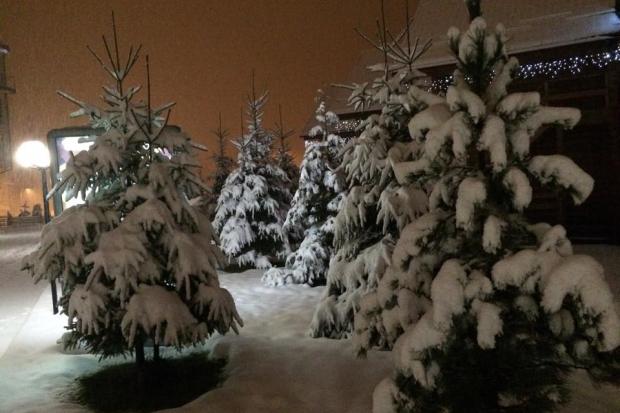 На "Буковелі" розпочалася справжня зима | Фото: Олег Головенський