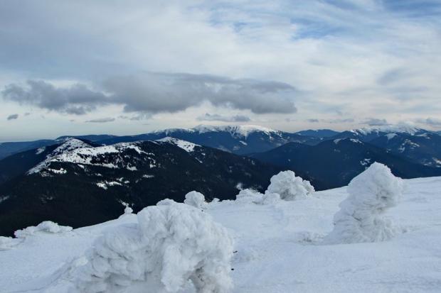 На одній із гірських вершин Карпат живуть снігові химери
 | Фото: stanislavske.tv