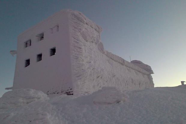 Білий слон і справді побілів | Фото: Чорногірський гірський пошуково-рятувальний пост