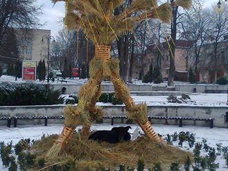 Навколо дідуха юрмляться птахи | Фото: Артур Ефремов/Facebook