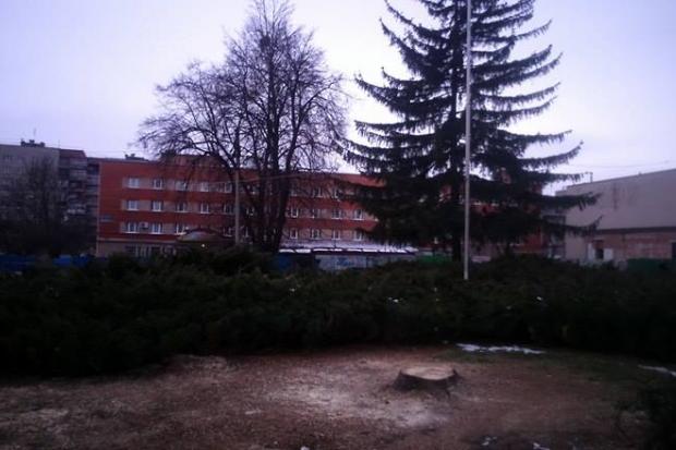 Замість всохлої ялинки у центрі міста залишився лише пень | Фото: vikna.if.ua