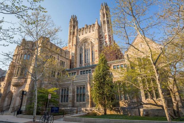  Марта Кузьма стала першою жінкою на посаді глави школи мистецтв | Фото: radio24.ua