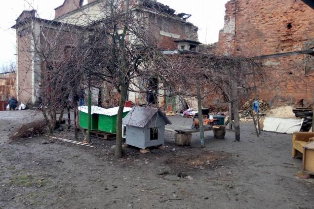 Притулок для тварин потребує будівельних матеріалів, будок для собак та людських рук | Фото: Олеся Долинка