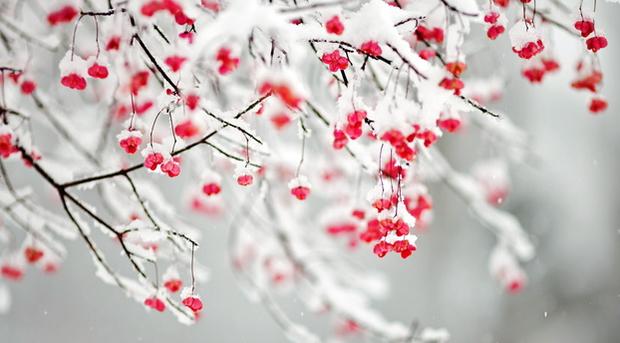 У західній частині очікується мокрий сніг та дощ. Температура повітря вночі від 3 тепла до 3 морозу, вдень 1-7 градусів 