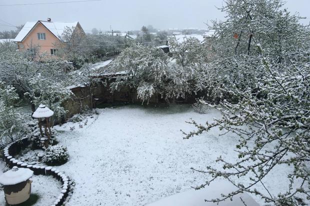 Так нині виглядає весняна Долинщина | Фото: Володимир Гаразд