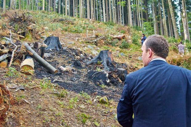 Остап Семерак оглянув проблемні території незаконних рубок лісів. І масштаби побаченого його просто вразили | Фото: Євге