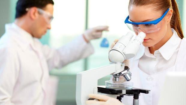 Ілюстрація. 25 молодих дослідників з різних куточків України будуть навчатися в лабораторіях кафедри біохімії та біотехн