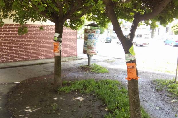 Калушани закликають владу штрафувати за рекламу на деревах | Фото: Олександр Коваль/Facebook