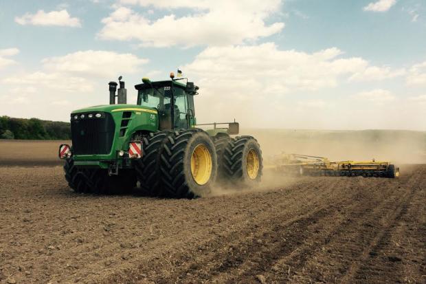 Найбільшу територію, 3350 гектарів, займає озима пшениця, 2100 га &ndash; ріпак, понад півтори тисячі гектарів займає оз