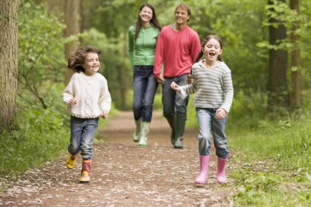 Кліщі можуть бути збудниками небезпечних хвороб, тому від них варто берегтися