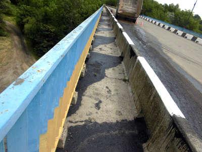 Під час рибоохоронного рейду на Пруті, який проводили працівники Івано-Франківськрибоохорони, було виявлено забруднення 