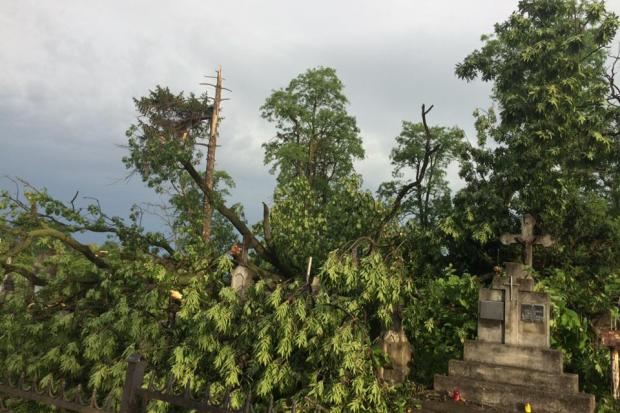 Так вранці виглядає старе кладовище на Височанці | Фото: Володимир Тимків