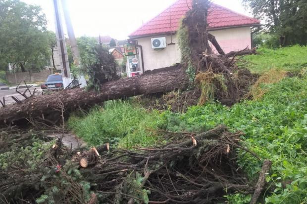 У Рогатині негода наробила чимало лиха | Фото: з архіву