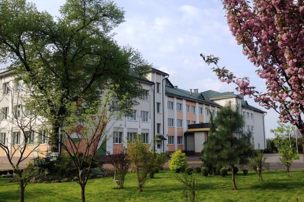 Територія Калуської гімназії є справжнім міні-дендропарком. Користувачі соцмереж кажуть, що тут не вистачає хіба що фонт