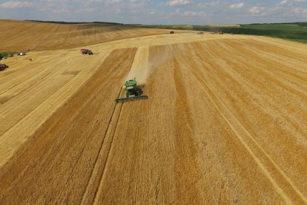 Поля "Даноші" з висоти пташиного польоту