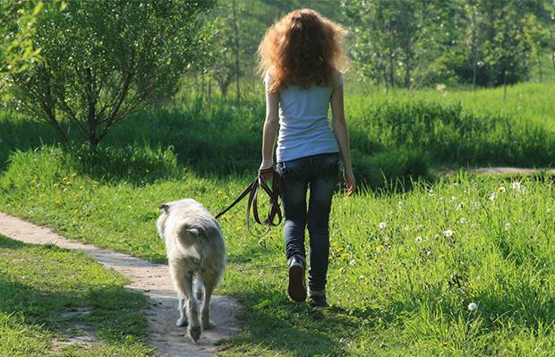 Ілюстрація. Власники собак все частіше змушені шукати безлюдні місця