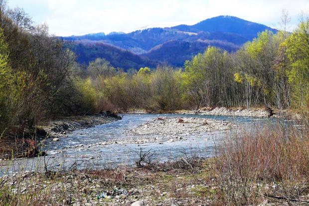 Річка Лужанка опинилася на межі зникнення