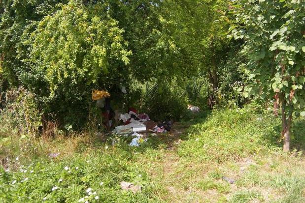 Стихійне сміттєзвалище облаштували під деревом біля озера | Фото: Тетяна Кіндюх