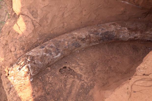 Сенчаційну знахідку археологи виявили у покинутому кар'єрі