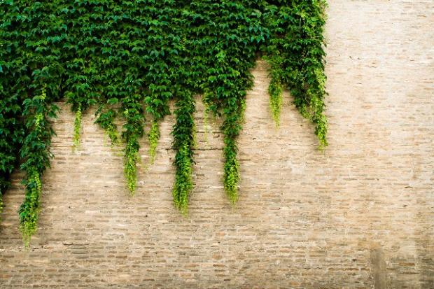 LIAR буде використовувати такі природні джерела, як сонячне світло, стічні води і повітря | Фото: ecotown.com.ua