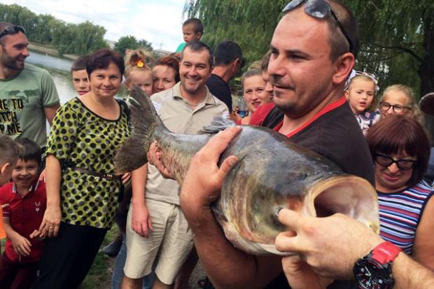 Велетенську рибу впіймали на Коломийському міському озері | Фото: ntktv.ua