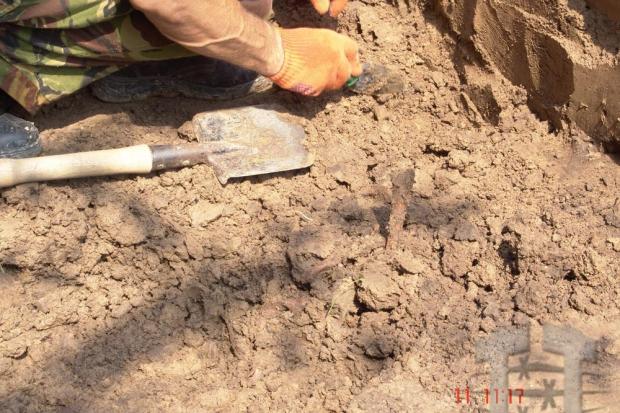 Ілюстрація. У Тисменицькому районі під час ремонту в храмі виявили невідоме поховання.
 | Фото: territoryterror.org.ua