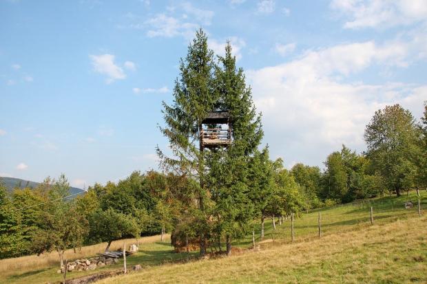 Школяр змайстрував будинок на дереві | Фото: Ігор Роп'яник