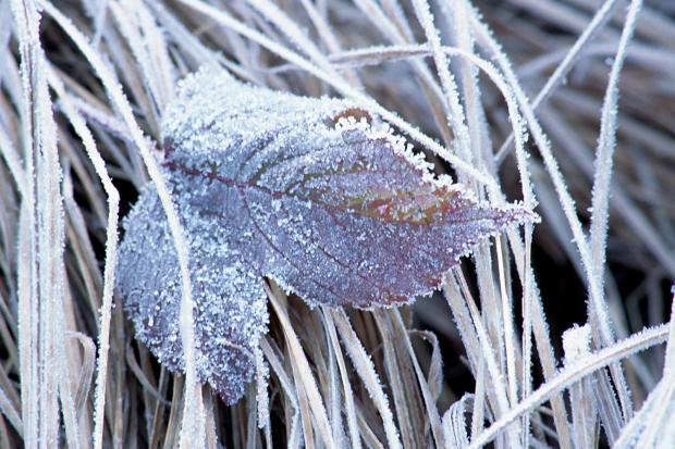 Вночі можливе зниження температури до п'яти градусів нижче нуля