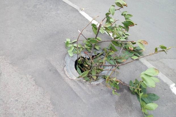 Таке оригінальне вирішення проблеми зробили на проспекті Лесі Українки | Фото: Василь Мудрик