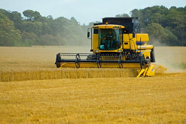 Ілюстрація. Всього експорт аграрної продукції з України за сім місяців поточного року склав 7,8 млрд доларів США