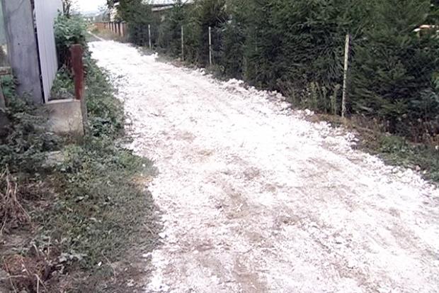 На Коломийщині чоловік самотужки "відремонтував" дорогу отрутою | Фото:  ntktv.ua