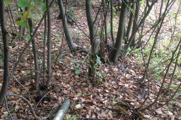 У лісовому урочищі Лази знайшли гранатомет | Фото: Управління Служби безпеки України в Івано-Франківській області