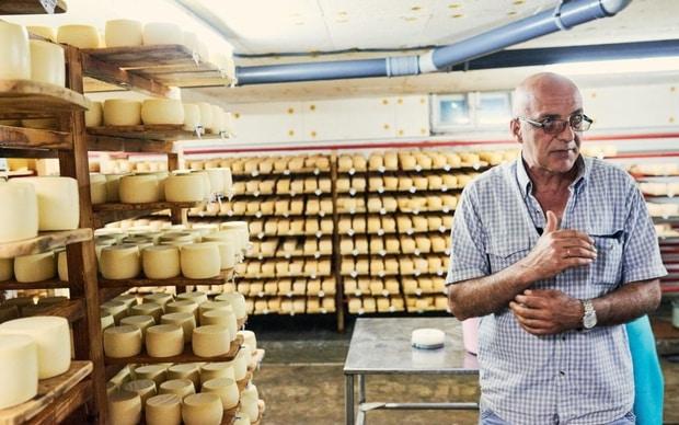 В сироварні працює 8 людей. Усіх працівників навчали за кордоном