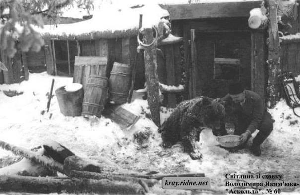 Збереглося дев&rsquo;ять унікальних світлин, на яких серед бійців УПА значиться і вже доволі великий ведмідь