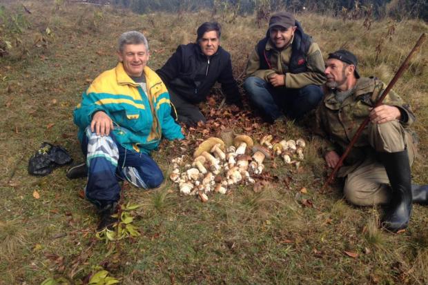 Киянин назбирав з друзями 8 кілограмів білих грибів | Фото: Андрій Боєчко