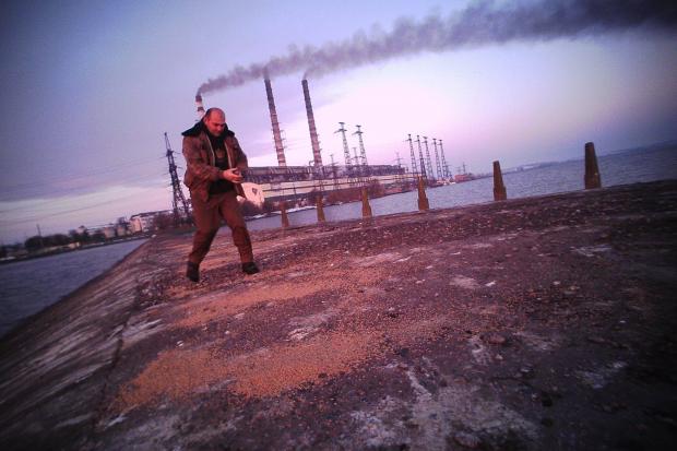 Активісти насипають зерна диким качкам на дамбі Бурштинського водосховища