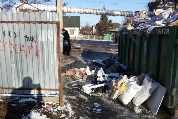 Ймовірною причиною загибелі свиней стали виснаження та сольове отруєння, у наслідок поганих умов утримання та годівлі. |