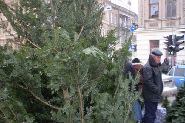 Реалізація новорічних ялинок повинна проводитися лише при наявності електронного маркування