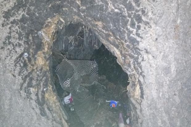 У  стовбурі дубу невідомі зробили смітник. | Фото: Володимир Вістовський