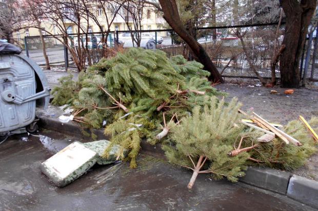 Ялинки пропонують лишати на сміттєвих майданчиках для складування негабаритних ТПВ