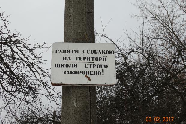 Собак простяь вигулювати на повідку і не на території шкільних стадіонів