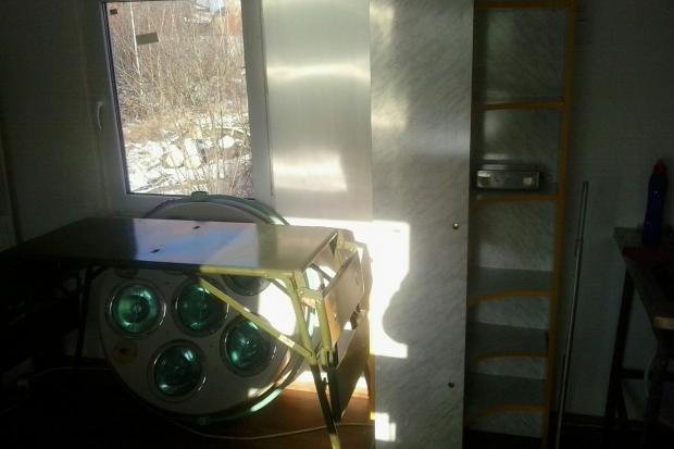 У Калуші закупили медичне обладнання та інструменти для проведення стерилізації безпритульних тварин | Фото: Дім Сірка м