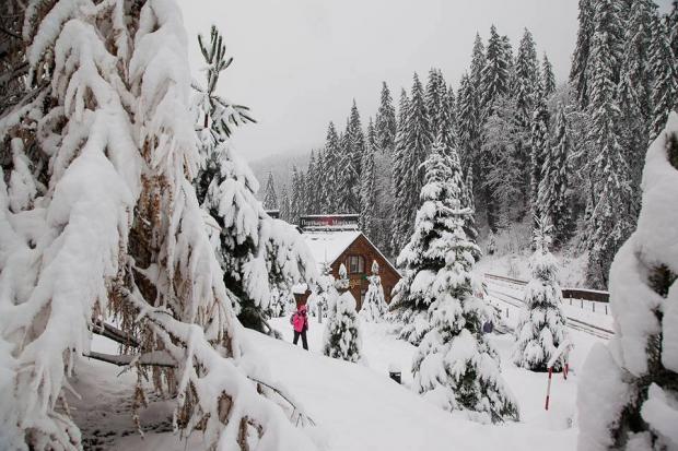 Україна зробила ще один крок до захисту Карпат
