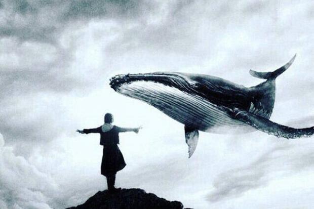 Ілюстрація. Поліція затримала двох адміністраторів груп &laquo;Синій Кит&raquo; та &laquo;Рожеві Феї&raquo;