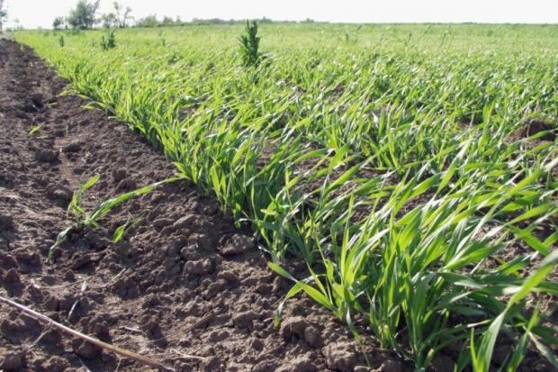 Земельний податок &ndash; це обов&rsquo;язковий платіж, що справляється з власників земельних ділянок та земельних часто