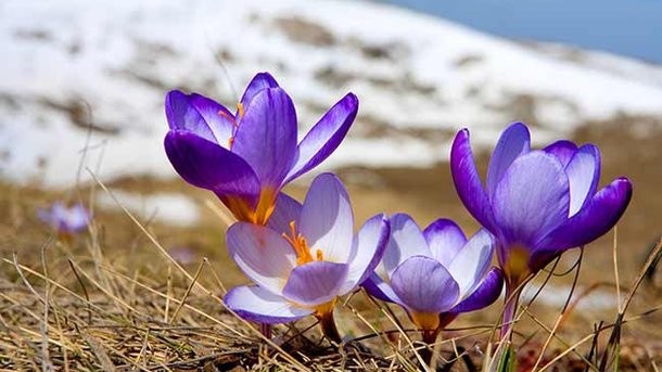 Ілюстрація. Важливий акцент &mdash; саме завтра стане теплішою ніч