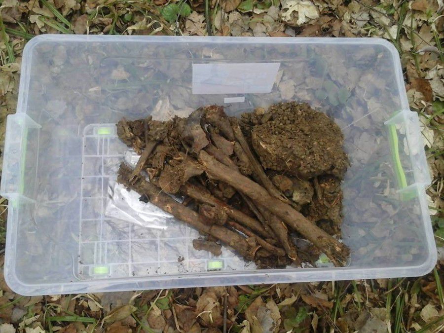 Майже рік, як австрійський архів оприлюднив списки усіх бойових втрат Австро-угорської імперії часів Першої світової вій