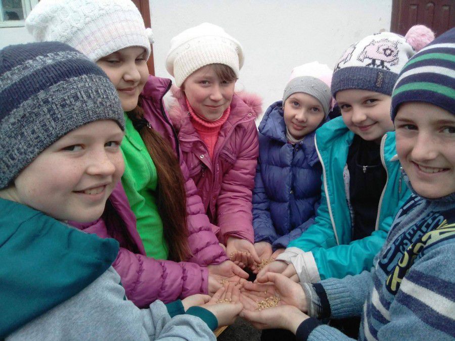 Діти подбали і про те, щоб пташкам у їхніх годівничках було що їсти | Фото: Школа Степанівська