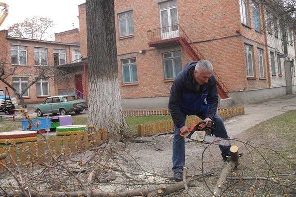 Ілюстрація. Аварійні дерева треба зрізати, бо во ни несуть загрозу дітям